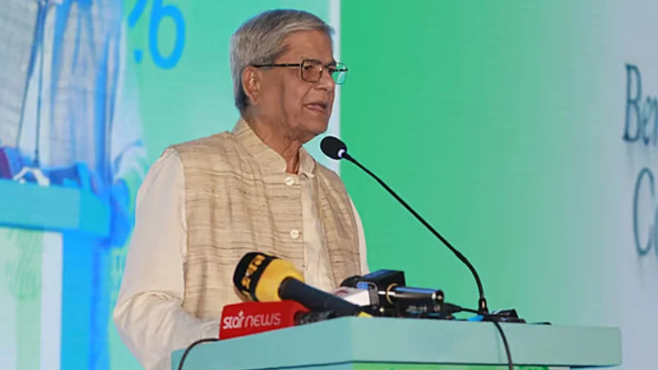 পত্রপত্রিকা পড়ে রাজনীতির কথা বলা যাবে না: মির্জা ফখরুল