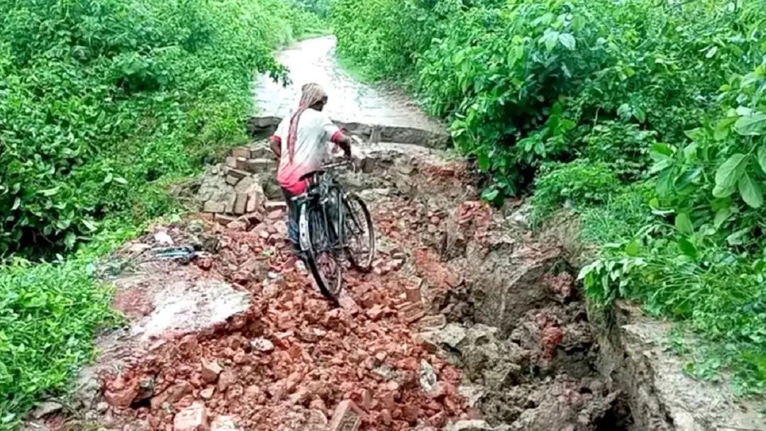 চুয়াডাঙ্গায় টানা বর্ষণে ফসলের ব্যাপক ক্ষতি, সড়ক ভাঙনে দুর্ভোগ