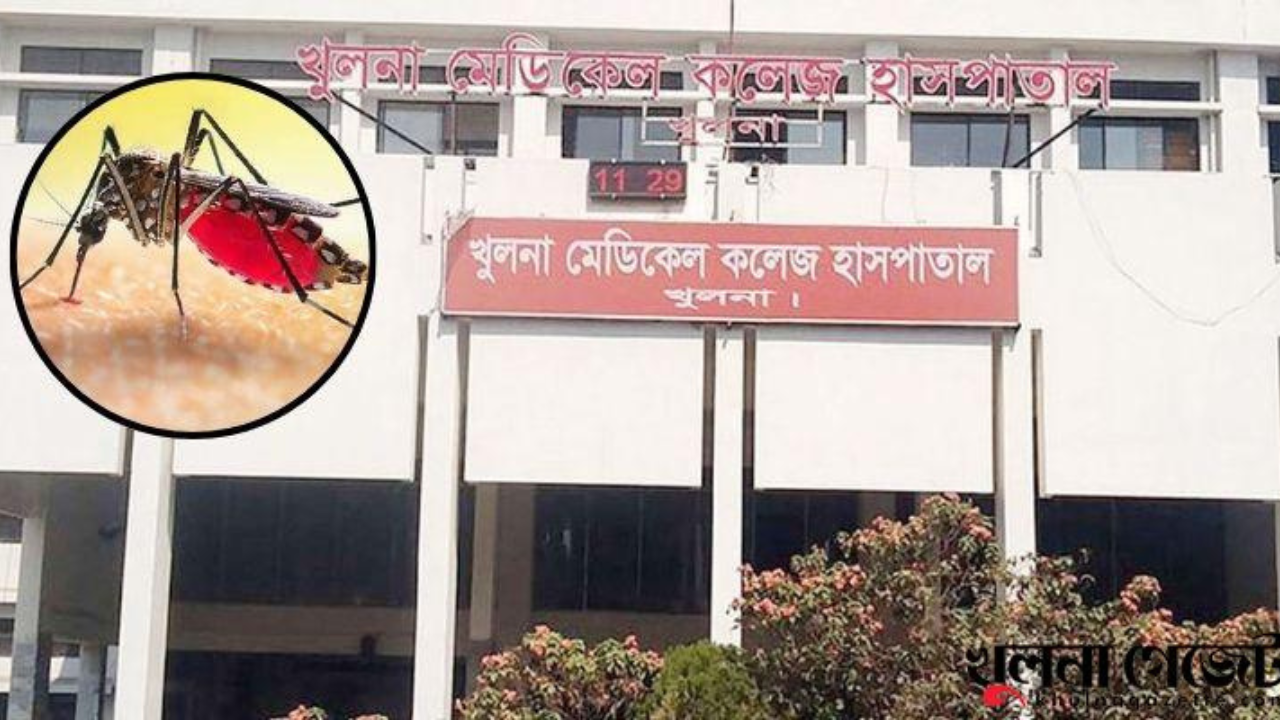 খুলনায় ডেঙ্গুতে একজনের মৃত্যু