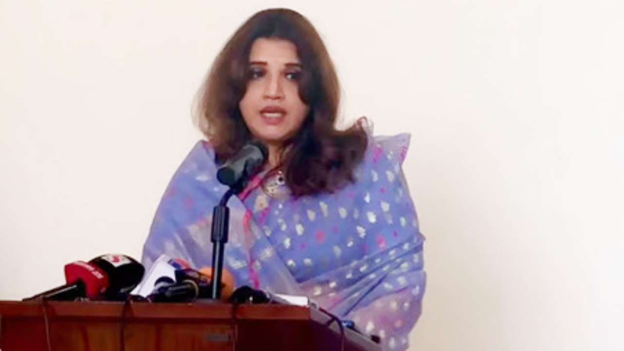 ভারত আওয়ামী লীগের কার্যক্রম বন্ধ না করলে সম্পর্কে প্রভাব পড়বে: পররাষ্ট্র প্রতিমন্ত্রী