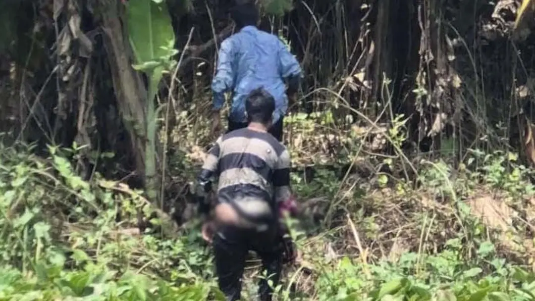 ঝিনাইদহ সীমান্তে ৪ জনকে পুশইনের চেষ্টা, প্রতিহত করল বিজিবি