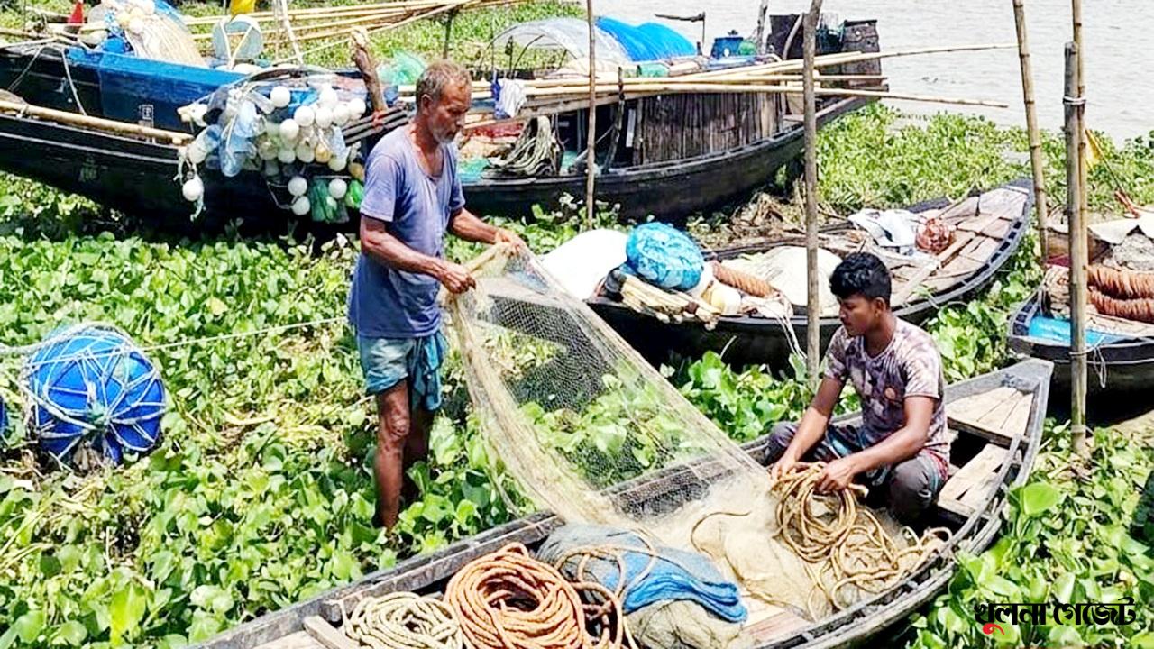 বটিয়াঘাটার নদীতে ইলিশের দেখা নেই, ঋণের জালে আবদ্ধ জেলেরা দিশেহারা