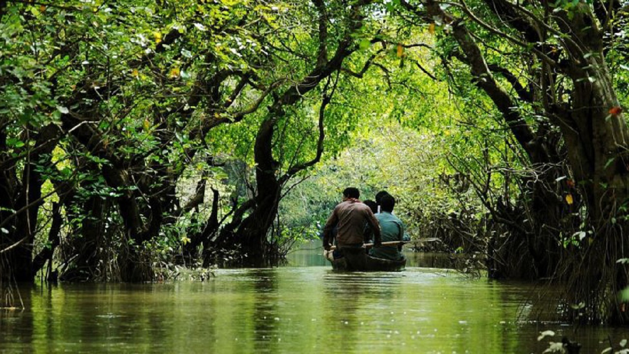 অভাব দক্ষ জনবলের : থমকে আছে সুন্দরবনের পর্যটন