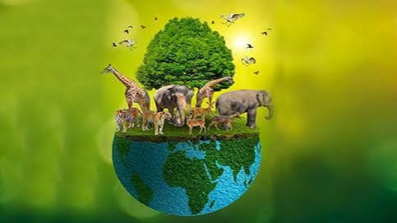 বন্যপ্রাণীর রোগ : বাংলাদেশের জনস্বাস্থ্য ও জীববৈচিত্র্যের জন্য নতুন সংকেত
