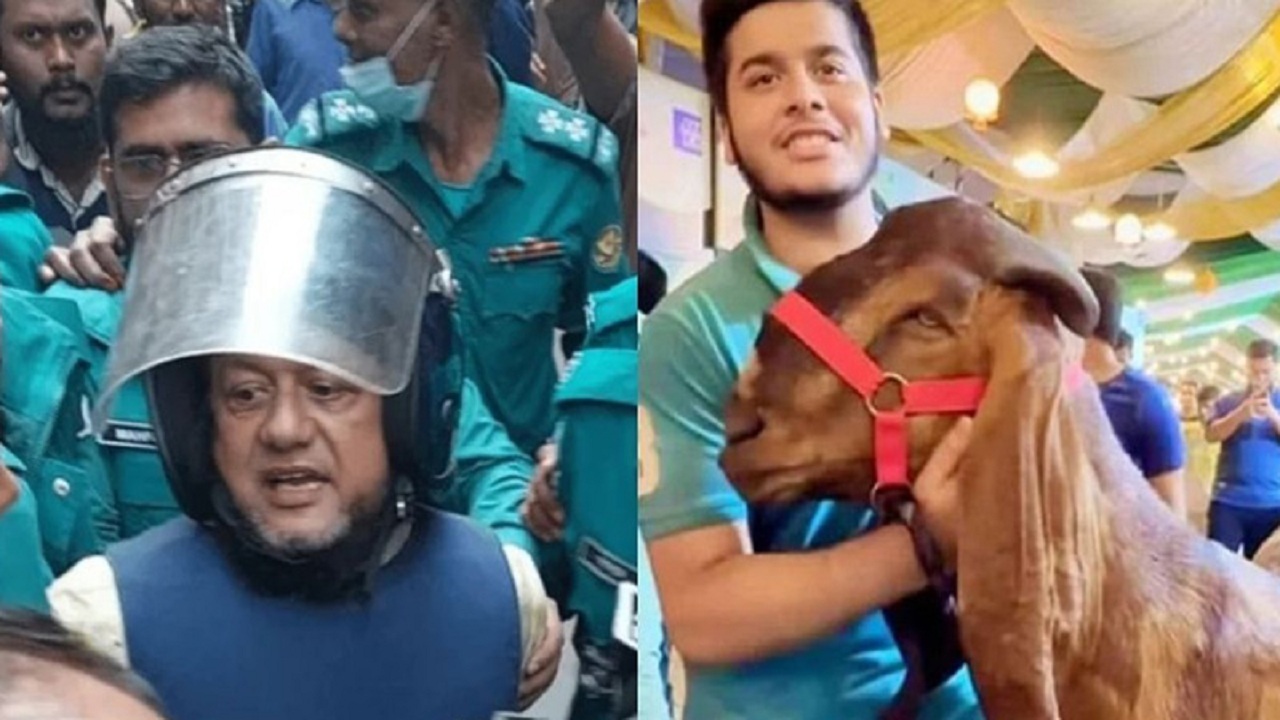 ছাগলকাণ্ডে আলোচিত মতিউর রহমানের বিচার শুরু