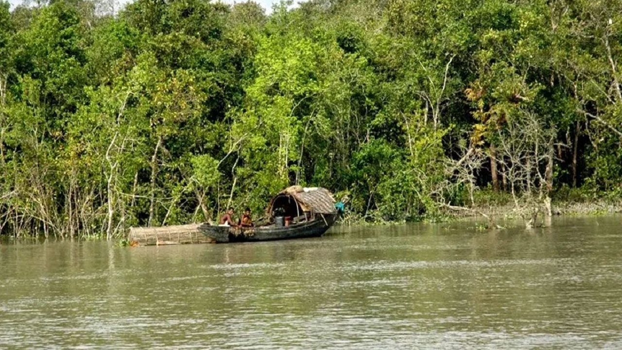 আইনের ফাঁক, জনবল সংকট ও দাদন : তিন সংকটে সুন্দরবন