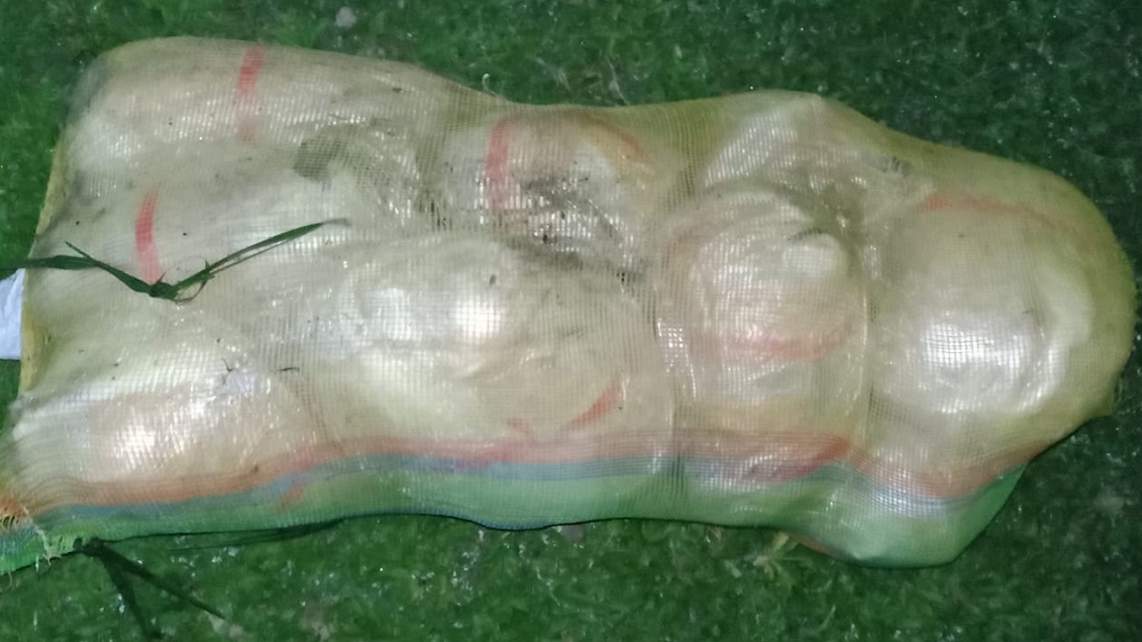 শার্শা সীমান্তে বিপুল পরিমাণ ভারতীয় গাঁজা আটক