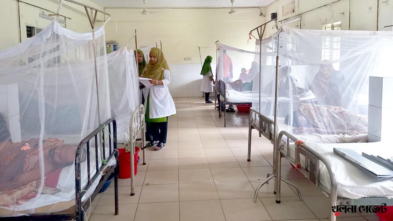 রূপসায় ডেঙ্গু জ্বরে ২৩ রোগী হাসপাতালে, বেড না পেয়ে ফ্লোরেই চিকিৎসা