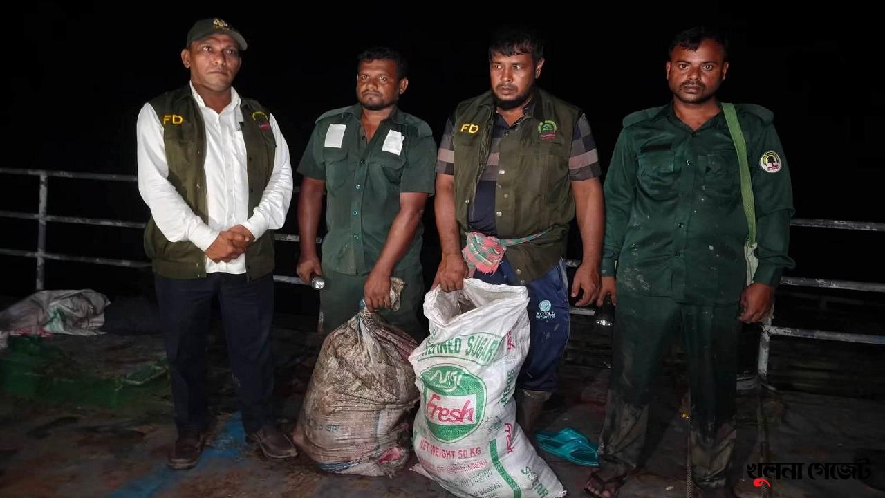 সুন্দরবন সংলগ্ন শাকবাড়িয়ায় ৭০ কেজি হরিণের মাংস উদ্ধার