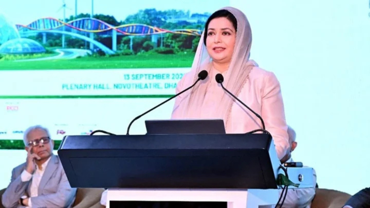 এক লাখ নতুন স্বাস্থ্যকর্মী নিয়োগ করা হবে: ডা. জুবাইদা