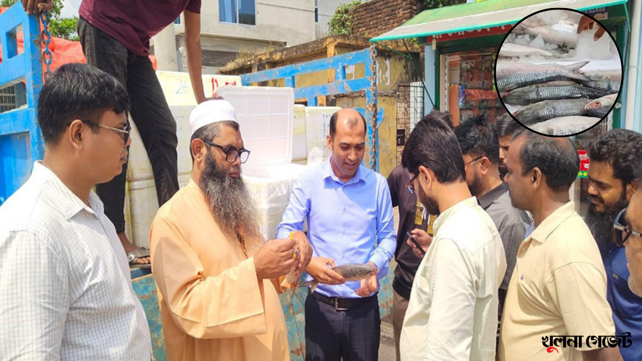 বেনাপোল দিয়ে আসছে ভারত-মিয়ানমারের ইলিশ, দাম চড়া