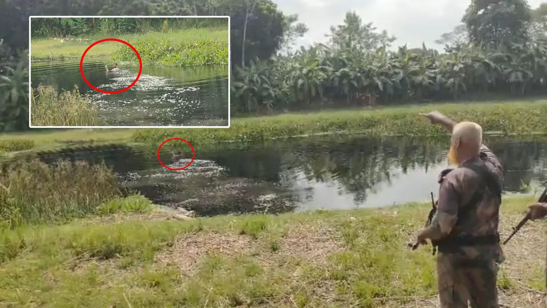 মহেশপুর সীমান্তে বিএসএফের পুশইন চেষ্টা, প্রতিহত করল বিজিবি
