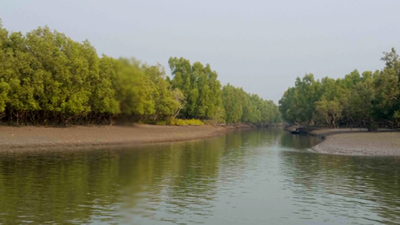 স্থানীয় কমিউনিটি ভিত্তিক পর্যটন ও গ্রামীণ অর্থনীতির রূপান্তর