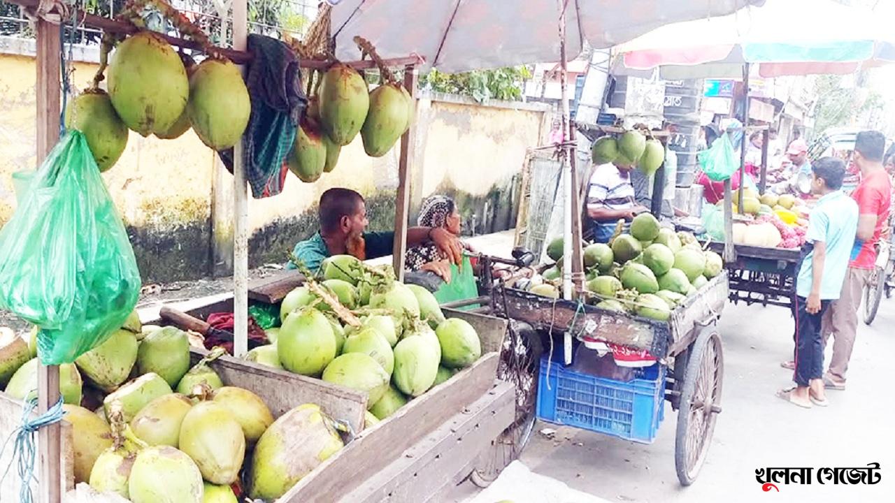 খুলনায় ডেঙ্গুর প্রকোপে বেড়েছে ডাবের চাহিদা