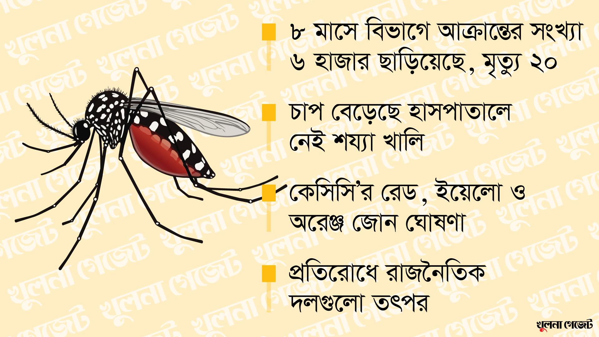 ডেঙ্গুর হটস্পট খুলনা, একমাসে ১২ মৃত্যু